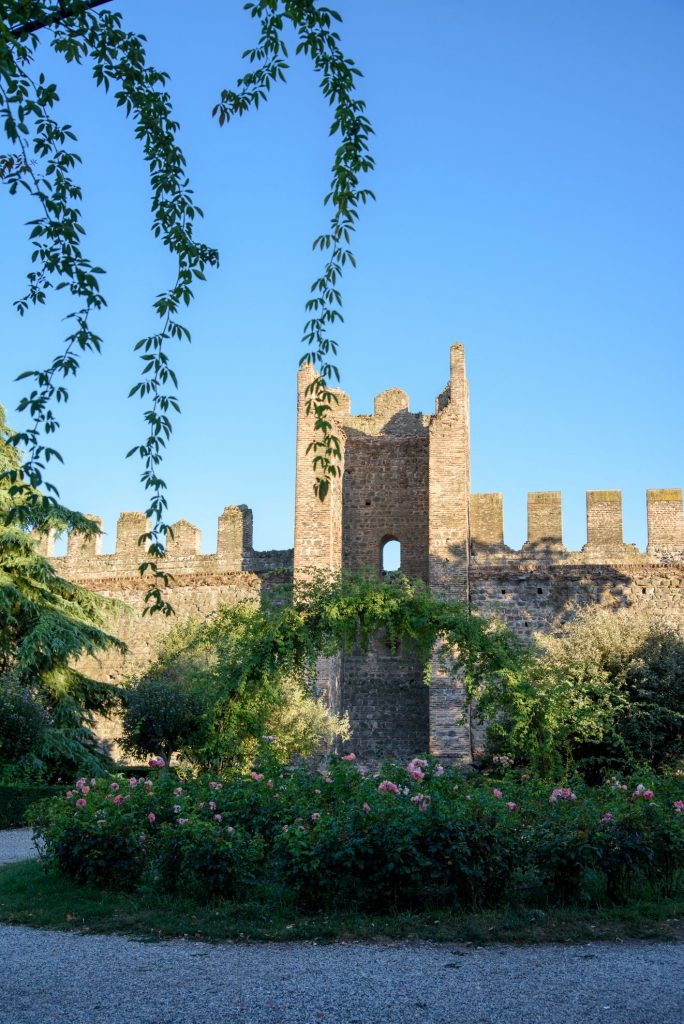 Castello Carrarese w Este