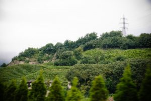 Appiano sulla Strada del Vino