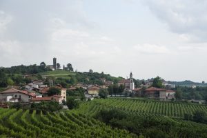 Goriška Brda