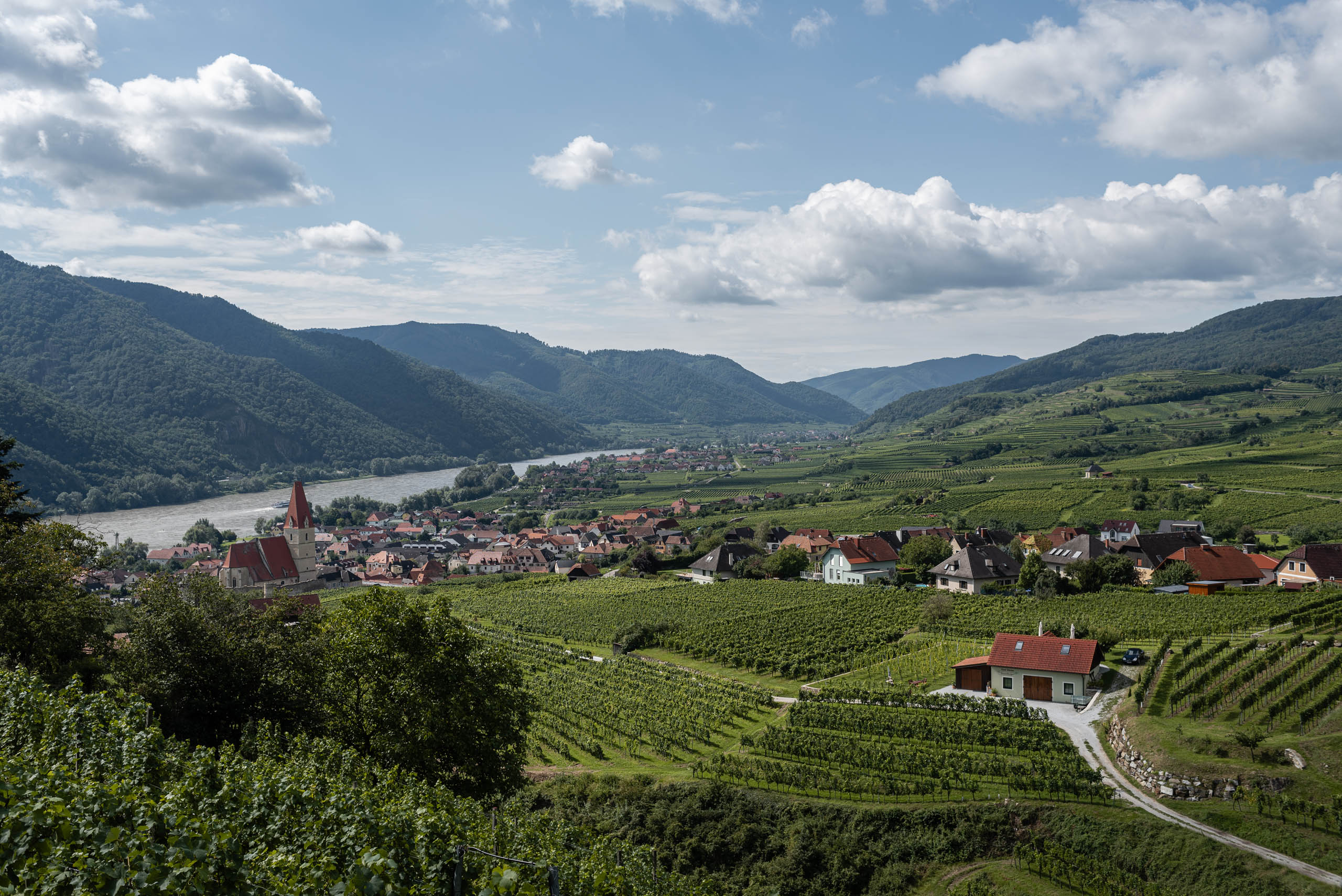 Weißenkirchen - trasa widokowa wśród winorośli