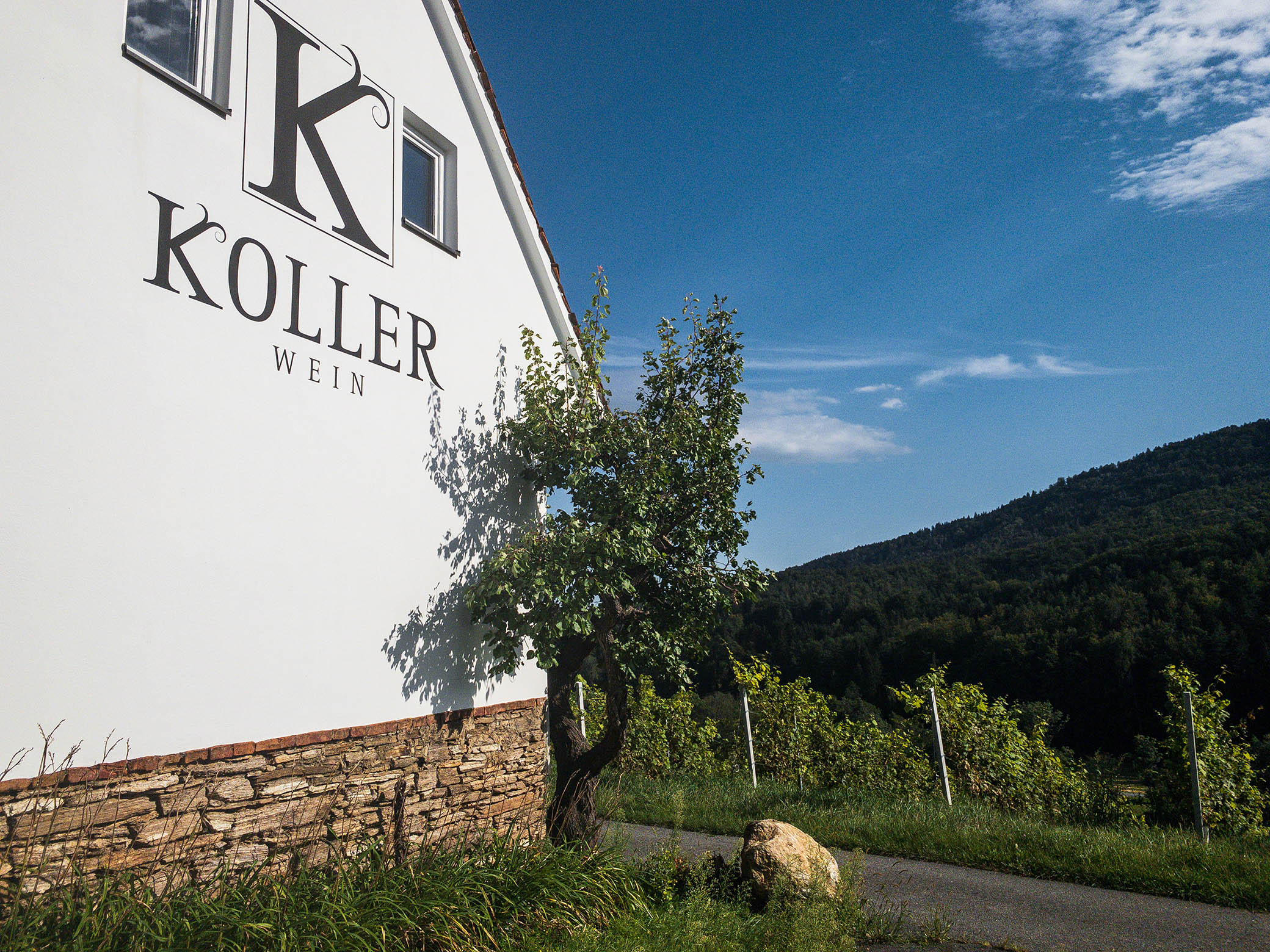 Winnica Koller Wein w Deutschlandsberg