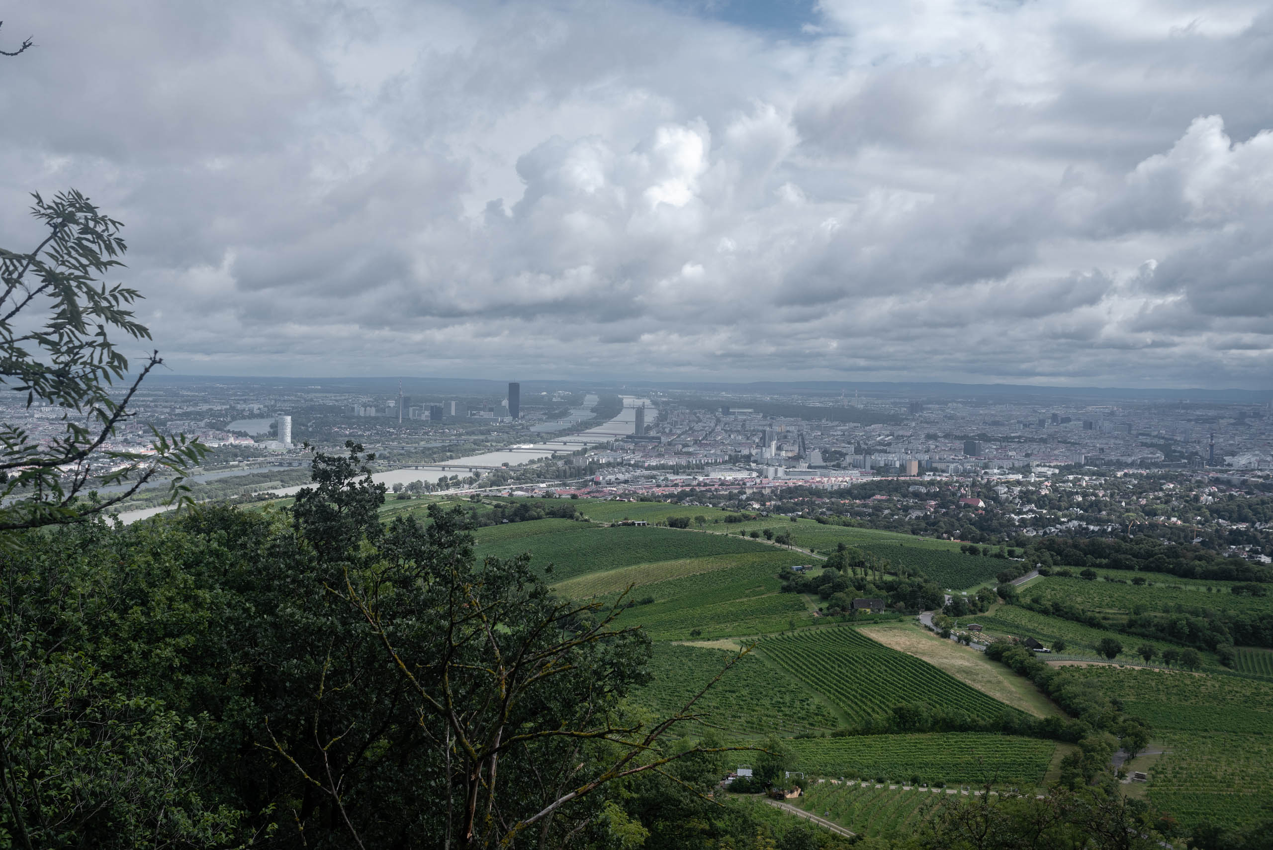 Josefsdorf - panorama Wiednia