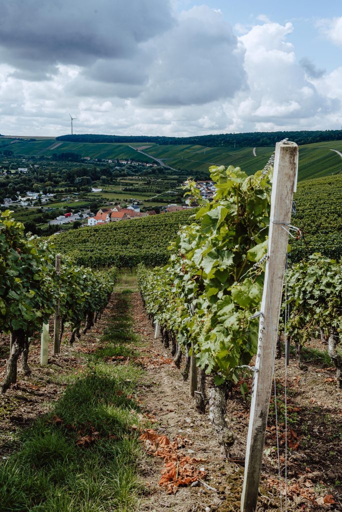 terroir f Volkach - Wein-Klima