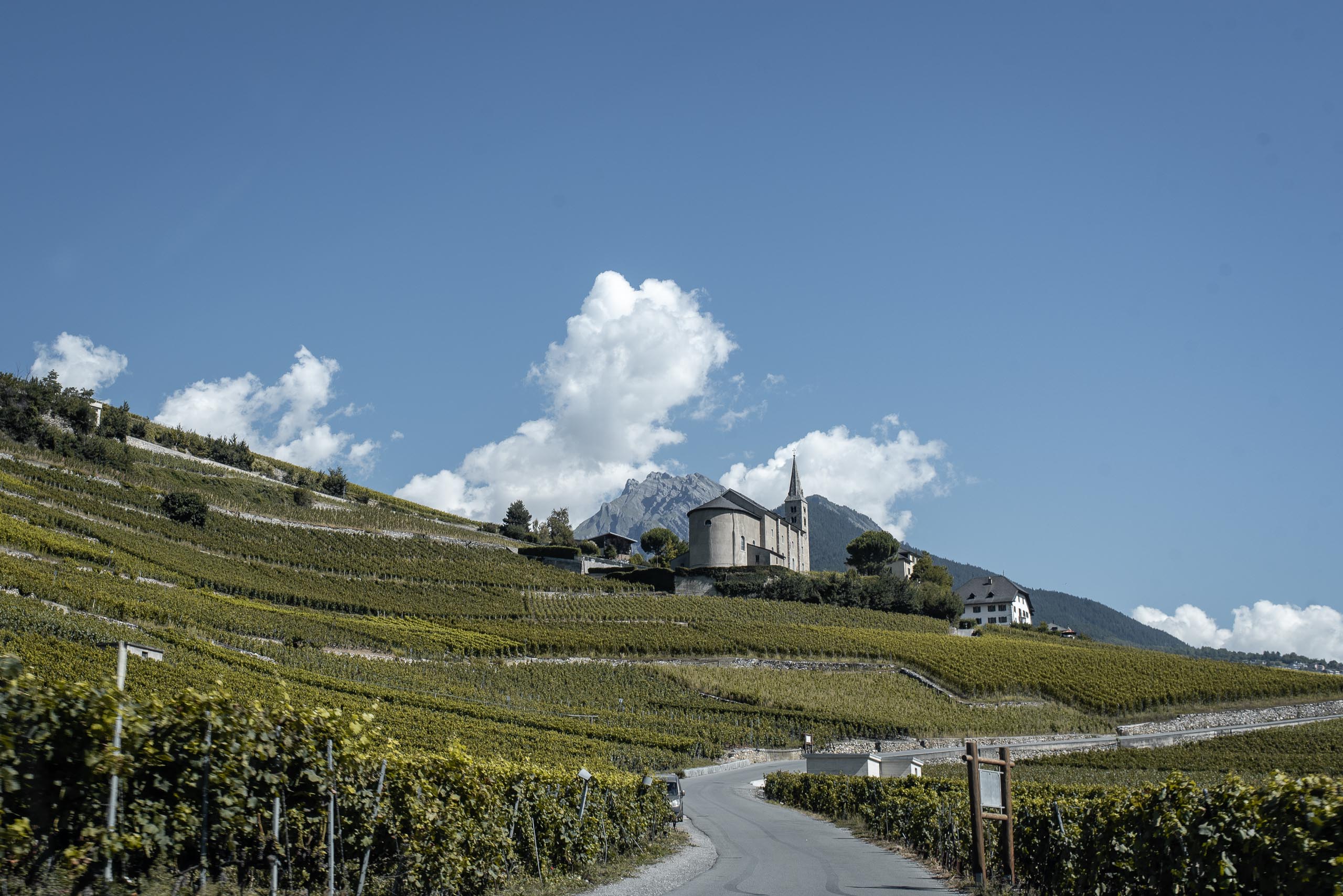 Winnice w kantonie Wallis