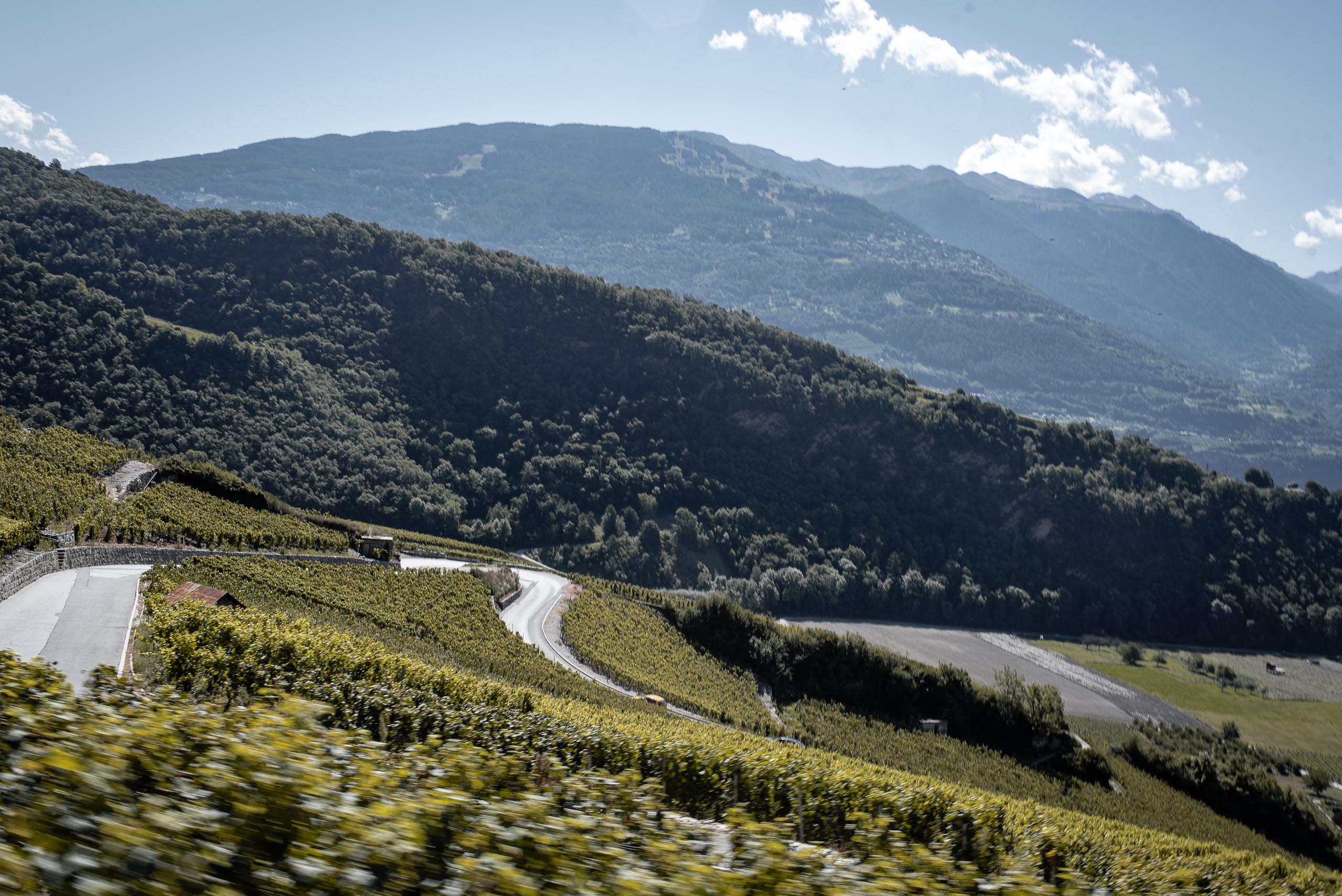 Winnice w kantonie Valais