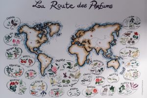 Parfumerie Fragonard - L'usine Historique Grasse