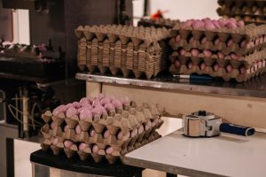 Parfumerie Fragonard - L'usine Historique Grasse
