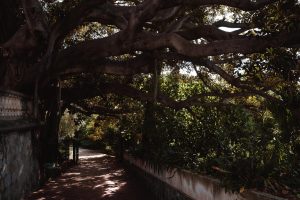 Giardini Nobel