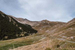 W kierunku Col de la Bonette