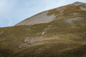 Col de la Bonette